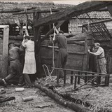 Een boerderij uit Staphorst wordt in de zomer van 1950 afgebroken en overgebracht naar het Nederlands Openluchtmuseum, Hans van Beelen, 26-06-1950. © Nederlands Openluchtmuseum, publiek domein.