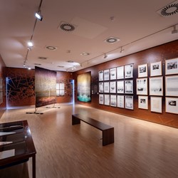 Tentoonstelling | Een vriendschap in lijn en kleur verlengd tot eind januari
