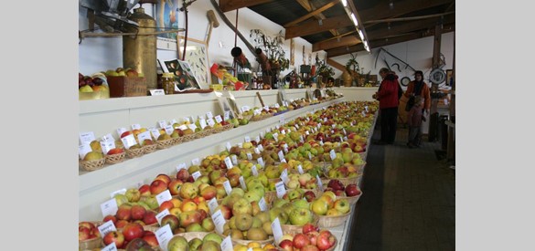 Fruitmuseum 't Olde Ras