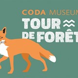 Tour de Forêt © CODA Apeldoorn