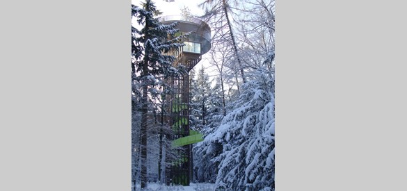 De Bostoren in de winter