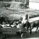 Wageningers zoeken onderdak in de dorpen op de Veluwe. Vluchtelingen op boerenwagens in oktober 1944. © Collectie Gemeentearchief Barneveld