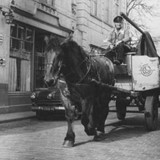 Paard en wagen in Arnhem.jpg