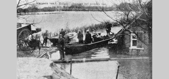 Inwoners Balgoye brengen het geredde vee naar Grave tijdens overstroming 1926. Bron: Pagus Balgoye