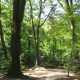 Landschap