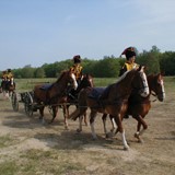 Gele rijders