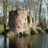 De ruïne van kasteel Brakel (Bron: Peter van der Wielen)
