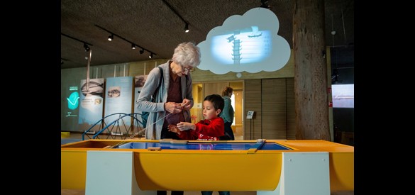 Bezoekers Bouwen Een Romeinse Schipbrug In De Waal Over