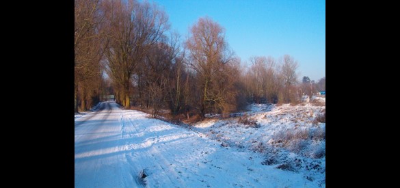 Pad Renkum