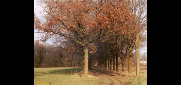 Kerkenpad Ruurlo