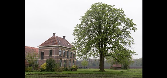 Zijaanzicht Lutje Kössink