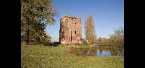 Overzicht van de ruïne van kasteel De Nijenbeek, 2008.