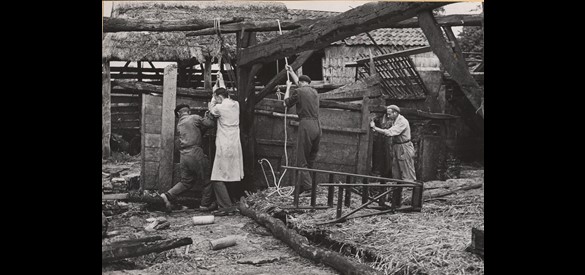 Een boerderij uit Staphorst wordt in de zomer van 1950 afgebroken en overgebracht naar het Nederlands Openluchtmuseum, Hans van Beelen, 26-06-1950.