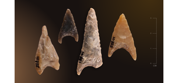 Enkele vuurstenen concave spitsen van de Veluwe. De spits in het midden is een typisch ‘langgerekte’ variant. De kleine donkere spits (tweede van links) is gemaakt van zwarte hoornsteen .