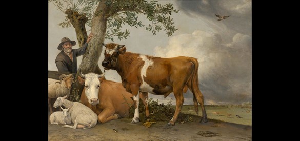 Paulus Potter, De Stier, 1647.