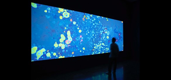 Beeld uit de tentoonstelling 'De paddenstoel aan het einde van de wereld'.