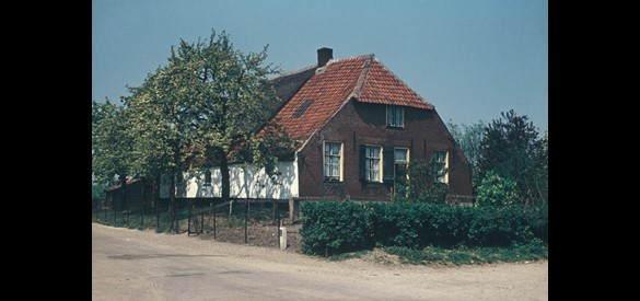 Boerderij op een woerd in Beesd, 1954.