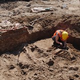 Het opgraven van een kuil met runderkadavers. © Gemeente Zutphen