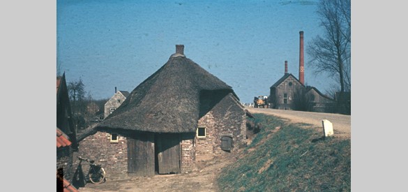 Dijkboerderijtje aan de Maasdijk bij Nieuwe Schans in 1954. Rechts het oude gemaal.