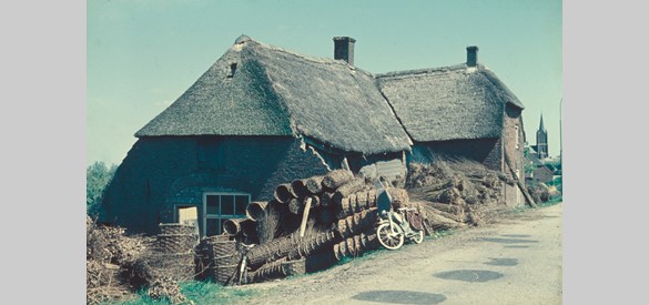 Mandenmakerij in Maasbommel