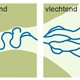 Meanderende en vlechtende rivieren © Nico Willemse, RAAP