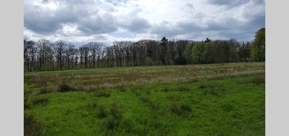 Voormalige bleekvelden bij de Boven Slinge Winterswijk, 2018