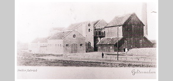 Beetwortel Suikerfabriek in Geldermalsen.