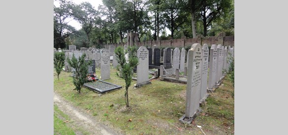 Rijksmonument: joodse begraafplaats Kwakkenbergweg Nijmegen.