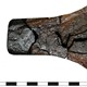 Een gevonden ijzeren bijl © Team Archeologie, Gemeente Zutphen, CC-BY-NC-SA