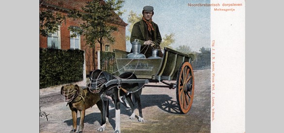Man in Noord-Brabantse dracht op een hondenkar, 1902–1905.