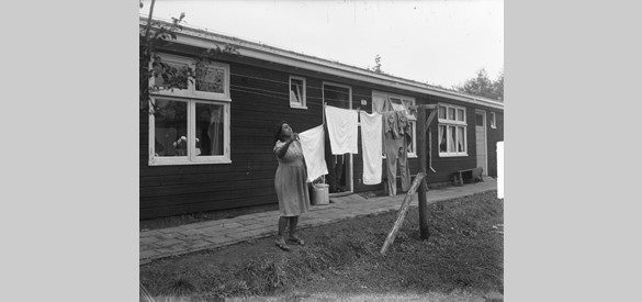Woonoord De Schattenberg, het voormalig kamp Westerbork, in 1950. De eerste Indische Nederlanders arriveerden op 4 juli 1950 in De Schattenberg. Zij verbleven daar tot 1951, toen het kamp werd vrijgemaakt voor Molukse bewoning.