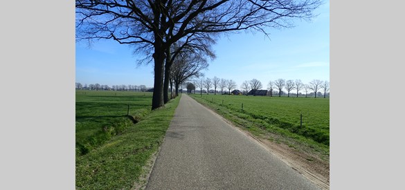 Nieuwe rechte weg, omgeving Beltrum.
