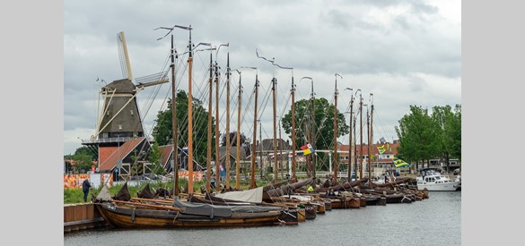 Botters in Harderwijk 2019