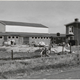 Nieuwe ruilverkavelingsboerderij bij Tiel © Fotocollectie Regionaal Archief Rivierenland (0670-M7335)