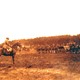 Koningin Wilhelmina op de Gorsselse Heide 1916 © De Elf Marken CC BY NC SA