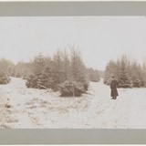 Notaris Van den Ham in het bos in de sneeuw © Museum Lunteren