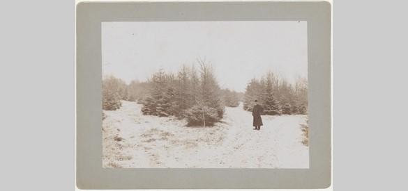 Notaris Van den Ham in het bos in de sneeuw