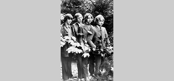 De band ‘Free Lance’ volgt in 1968. Engels is de taal van de popmuziek en lang haar de mode. De eerste band die Engelstalige liedjes zingt, is de in 1959 opgerichte ‘Seven Hills Skiffle Group’.