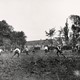 De eerste foto van een voetbalwedstrijd in Groesbeek in 1912. © Collectie G.G. Driessen, CC-BY-NC