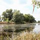 Drassige natuur aan de oevers van de oude Waal nabij de Bijland. © Wouter Hinrichs, CC BY-SA