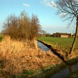 Fragment van het onvoltooide kanaal de Nieuwe Rijn, te zien bij de Fliersteeg in Nijkerk. © Gerrit van de Veen, Nijkerk, CC-BY-NC