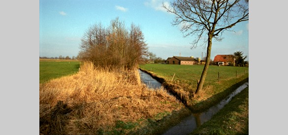 Fragment van het onvoltooide kanaal de Nieuwe Rijn, te zien bij de Fliersteeg in Nijkerk.