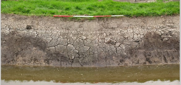 Restant van het dwarsprofiel van het kanaal de Nieuwe Rijn in polder Arkemheen, in beeld gekomen tijdens het verbreden van een sloot.