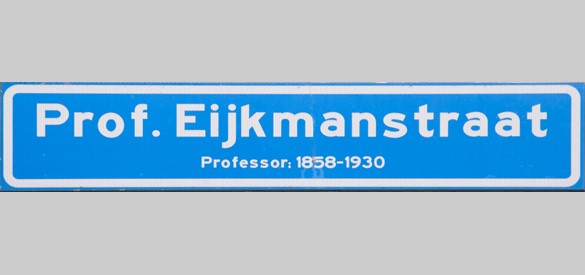 Straatnaambord van de Prof. Eijkmanstraat in Nijkerk.