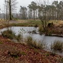 Witte Beek Landgoed Tongeren © Jan van de Lagemaat