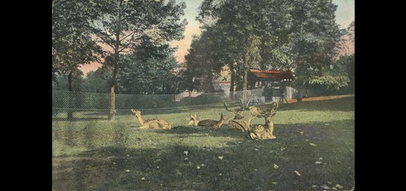 Prentbriefkaart van het Kronenburgerpark in 1930