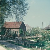 Boerderij met dwarshuis in Herwijnen (T-vorm). Mei 1954. ©  Gelders Archief, PD