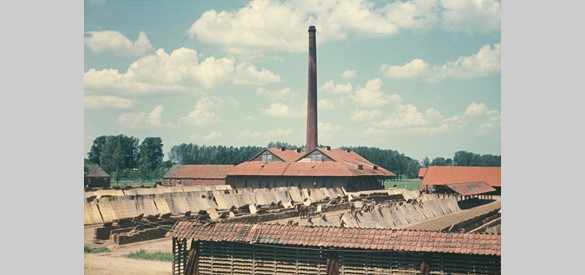 Steenfabriek bij Deil 1954