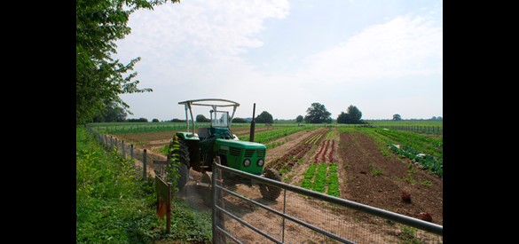 Boeren pachten grond