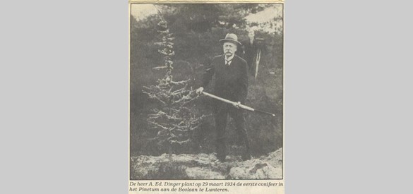 De heer A. Ed. Dinger plant op 29 maart 1934 de eerste conifeer in het Pinetum aan de Boslaan te Lunteren (1)